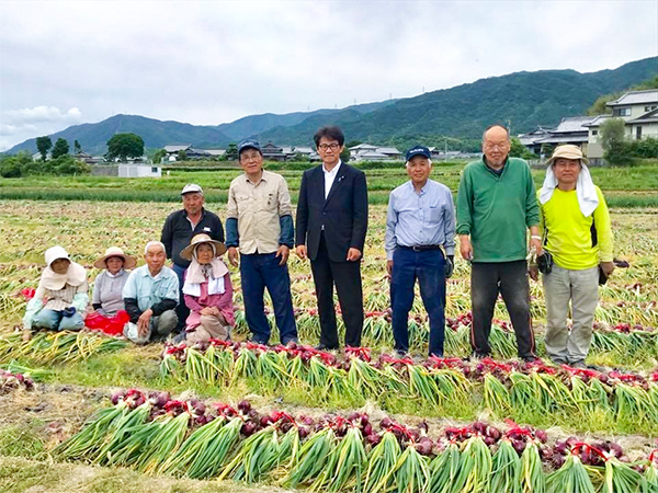 赤玉ねぎ収穫視察の画像